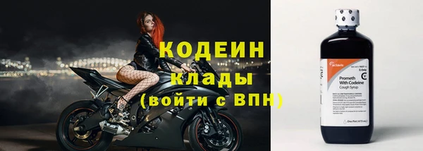 скорость Заводоуковск