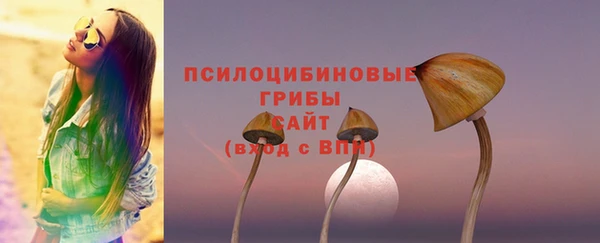 скорость Заводоуковск