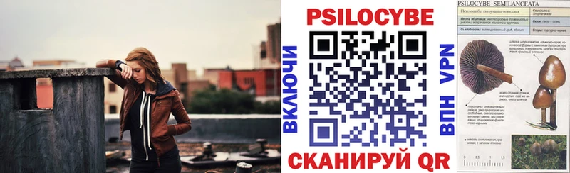 Псилоцибиновые грибы Magic Shrooms  Купить где  Полтавская 